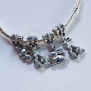 Charms. NWOT .  Fits in Pandora Bracelet